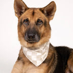 Bandana pour chien - Damier beige