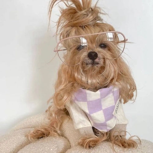 Bandana pour chien - Damier Lilas