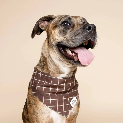 Bandana pour chien - Damier marron foncé