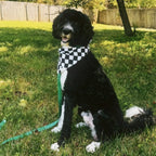 Bandana pour chien - Damier noir et blanc