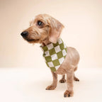 Bandana pour chien - Damier Vert