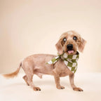 Bandana pour chien - Damier Vert