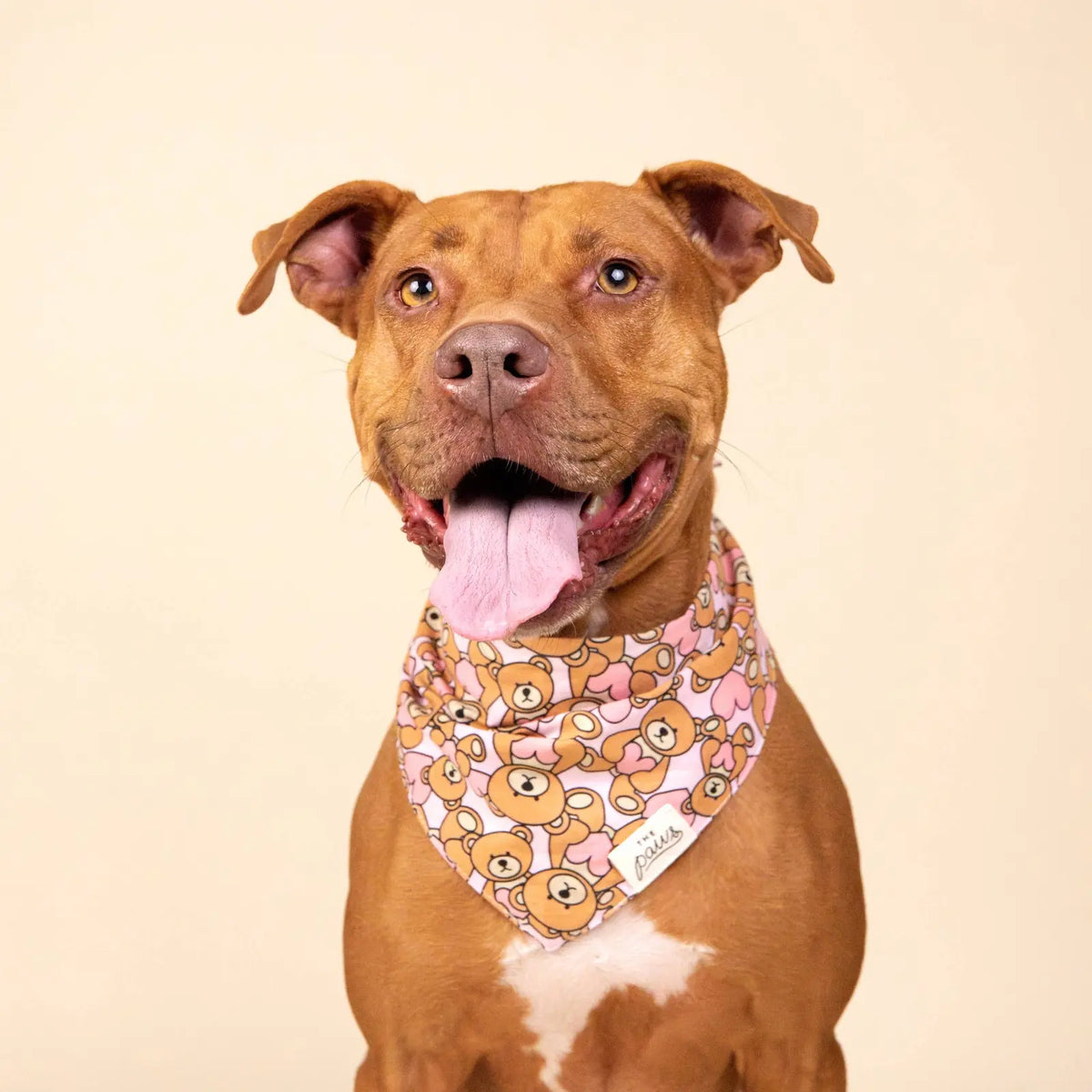 Bandana pour chien - Nounours rose