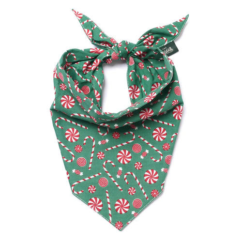 Bandana pour chien - Sucre d'orge