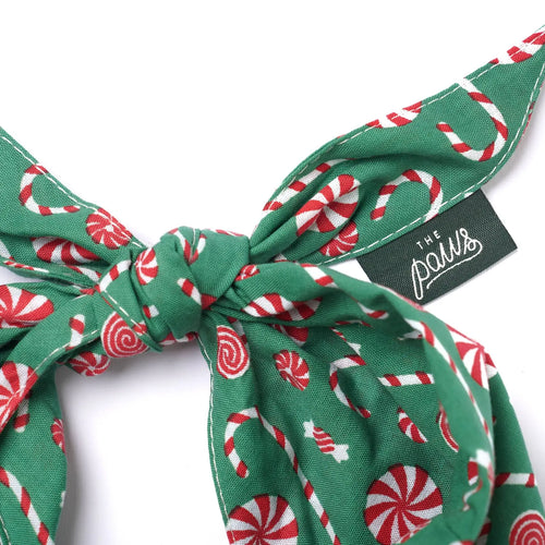 Bandana pour chien - Sucre d'orge