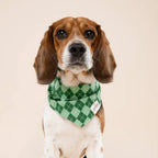 Bandana pour chien - Tartan vert