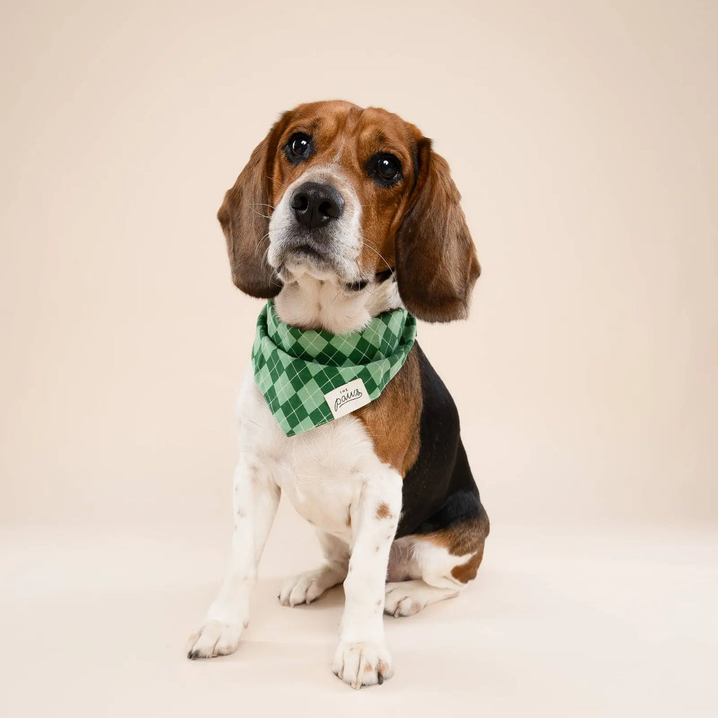 Bandana pour chien - Tartan vert