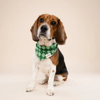 Bandana pour chien - Tartan vert