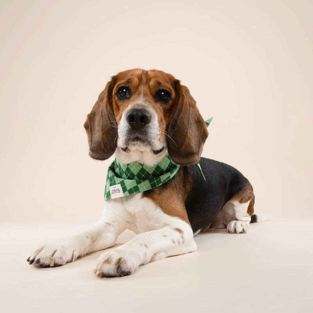 Bandana pour chien - Tartan vert