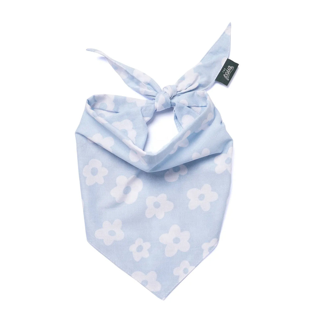 Bandana pour chien - Fleuri bleu ciel