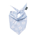 Bandana pour chien - Fleuri bleu ciel