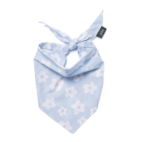 Bandana pour chien - Fleuri bleu ciel