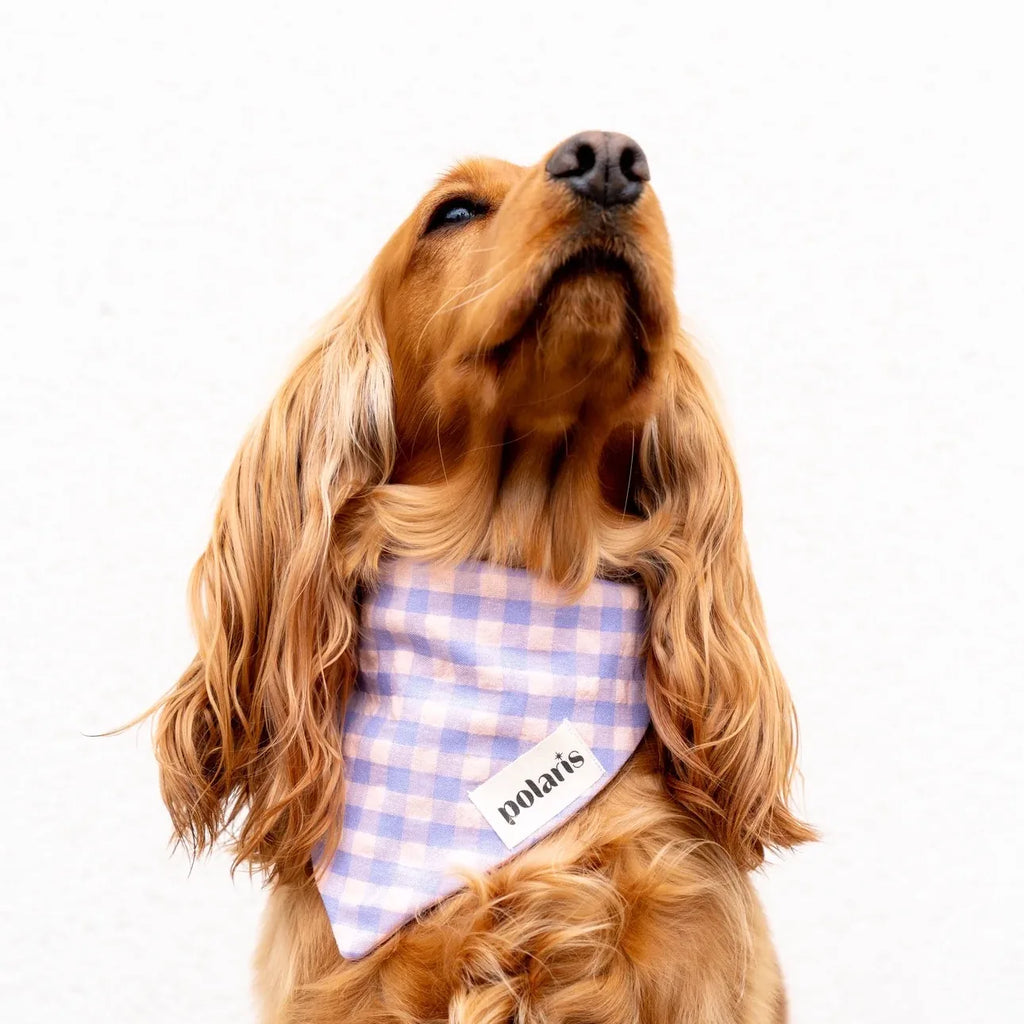 Bandanas Vichy Polaris