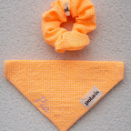 Bandanas Vichy Polaris orange