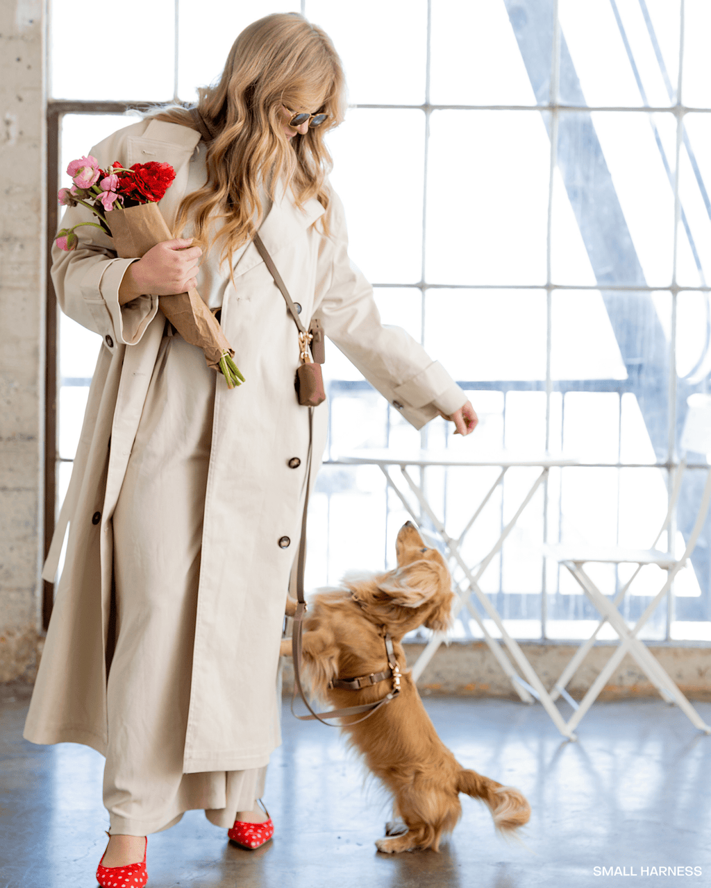 Harnais pour chien imperméable - Chocolat