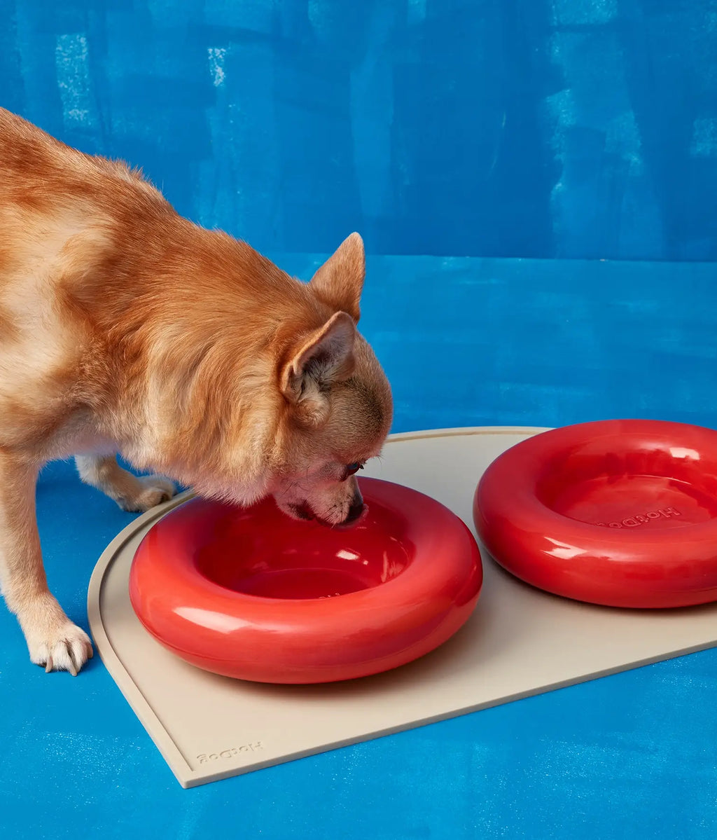 Gamelle en céramique rose pour chien M