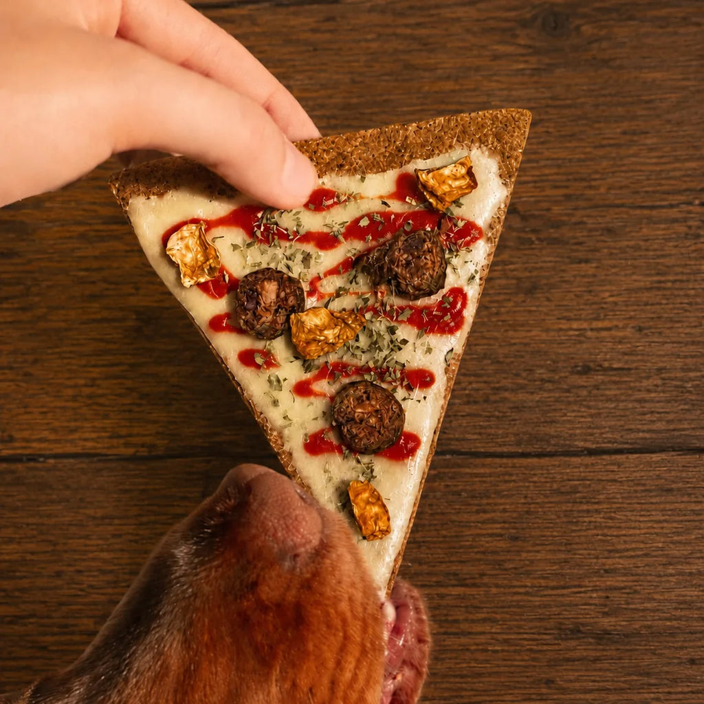 Biscuit friandise pour chien en forme de part de pizza