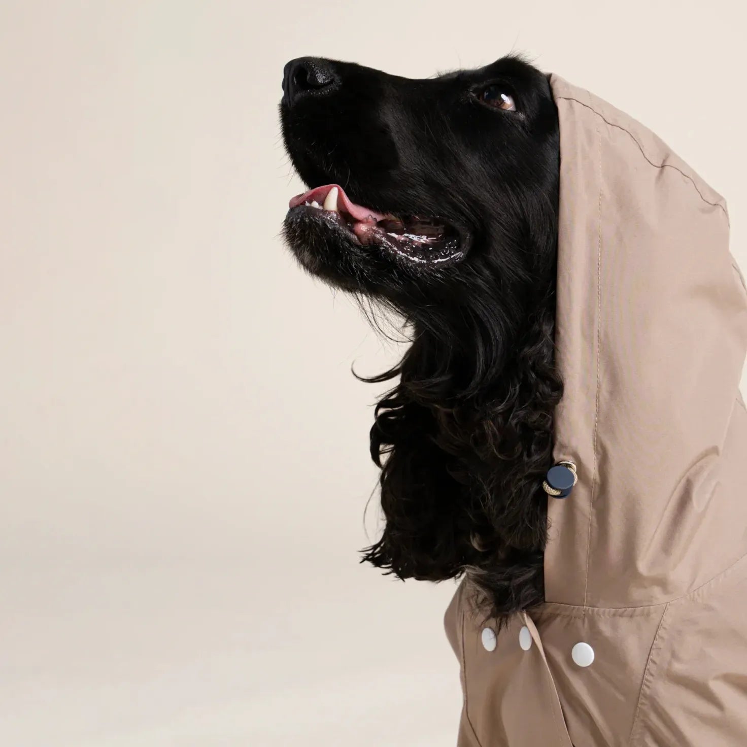 Imperméable Boulogne