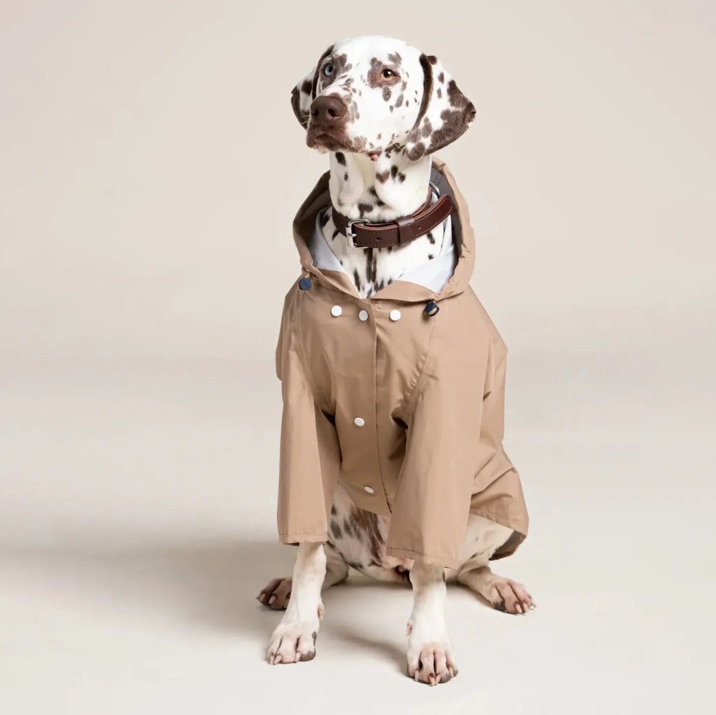 Imperméable Boulogne