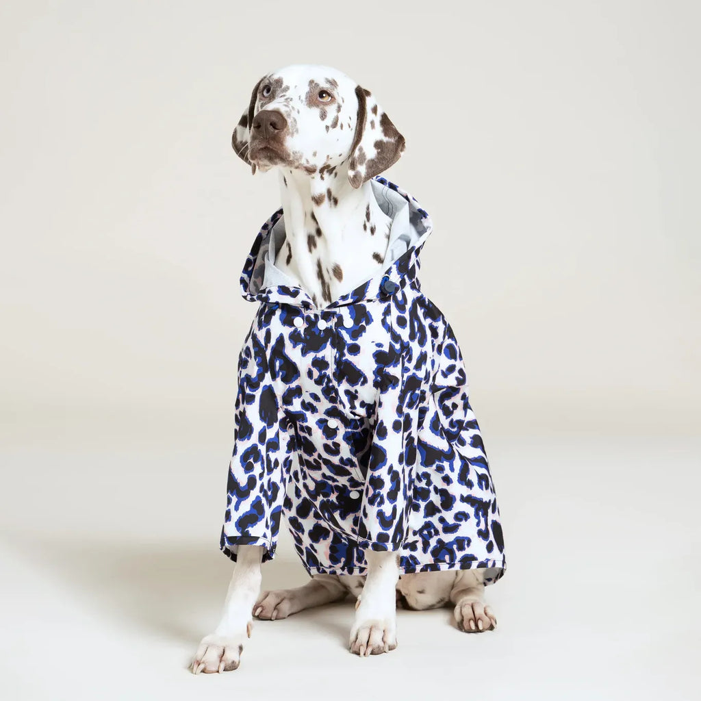 Imperméable Boulogne léopard bleu