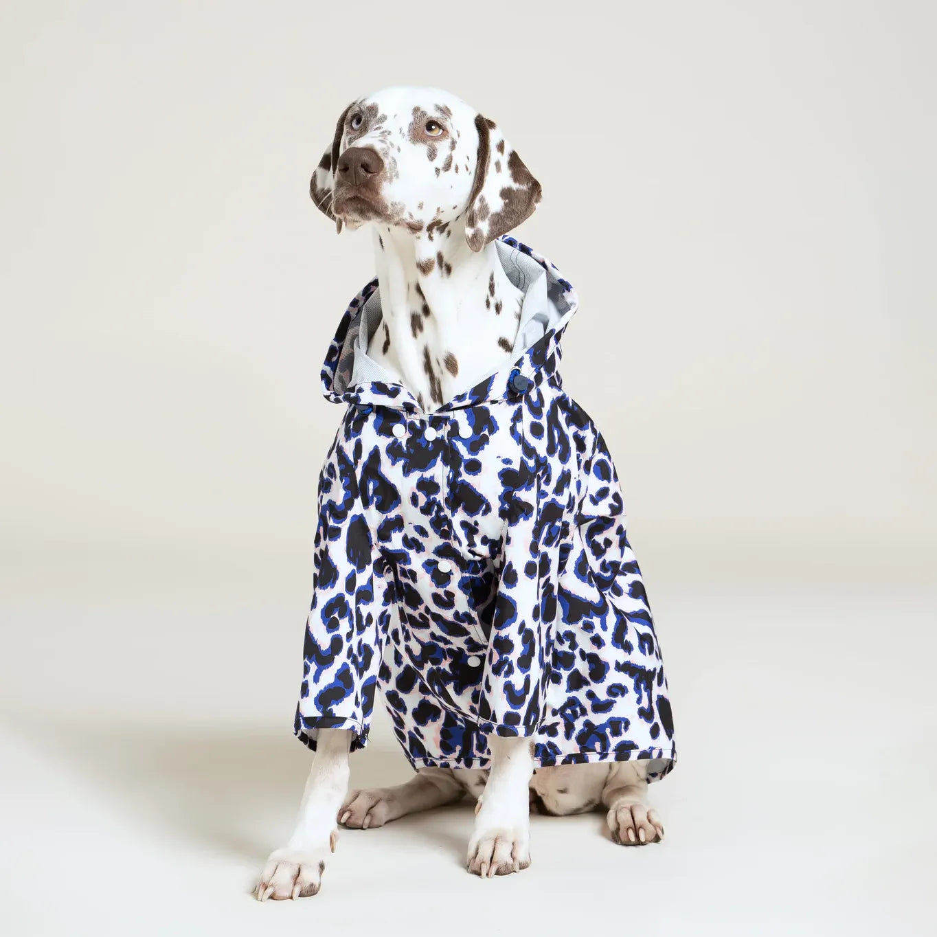 Imperméable Boulogne