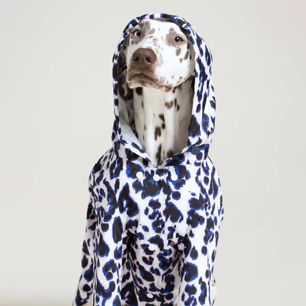 Imperméable Boulogne