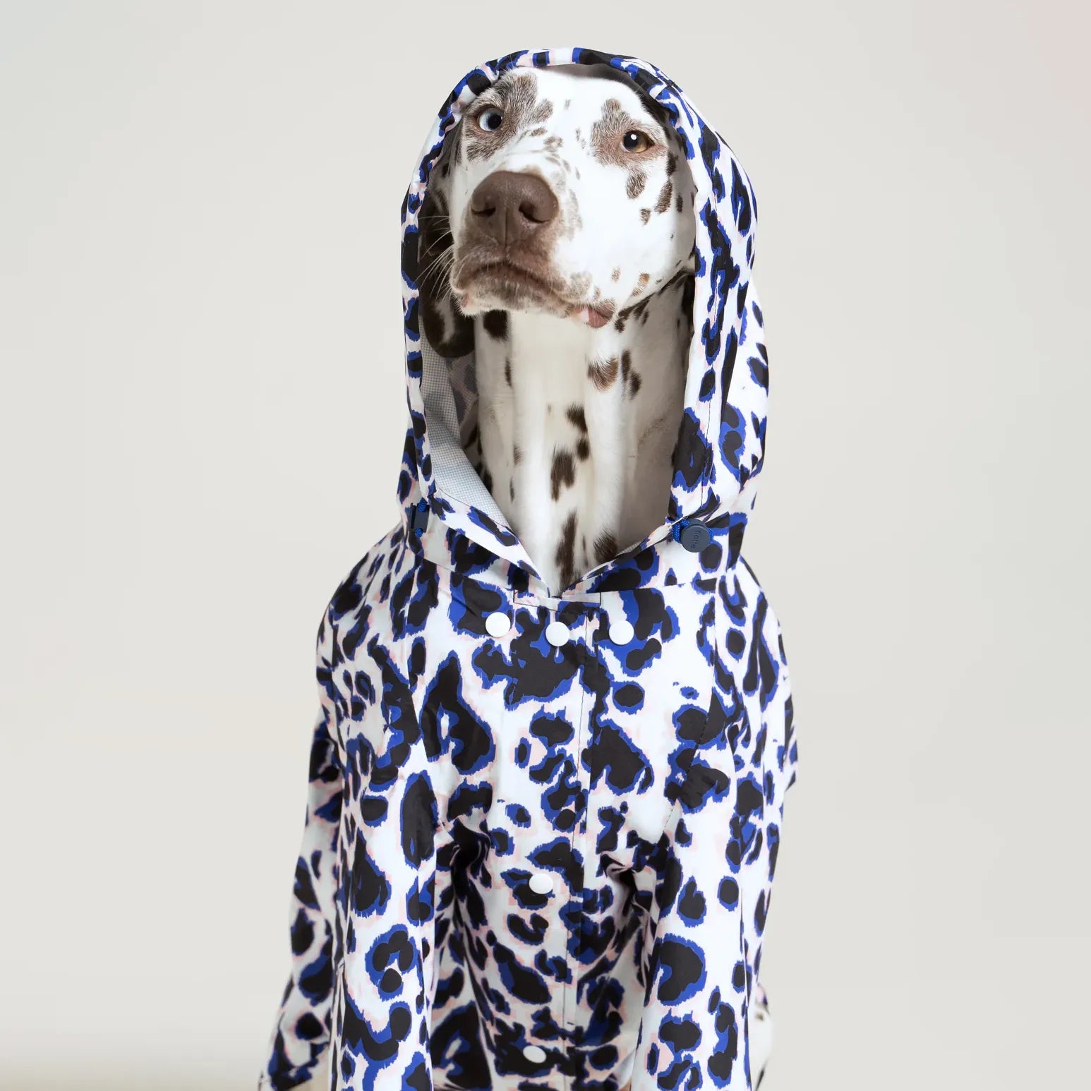 Imperméable Boulogne