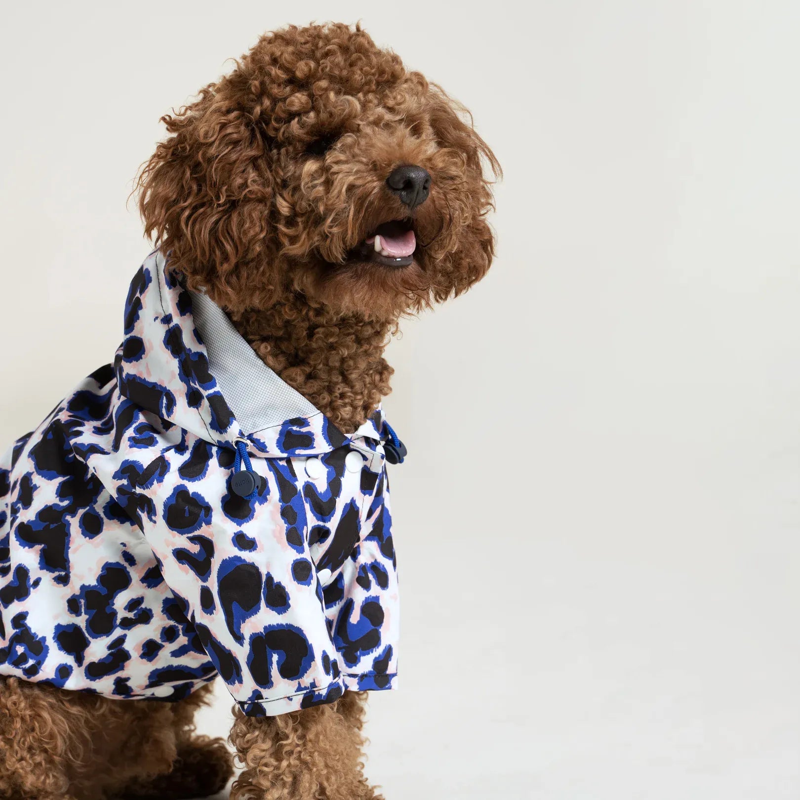 Imperméable Boulogne