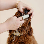 Brosse à dents greige pour chien