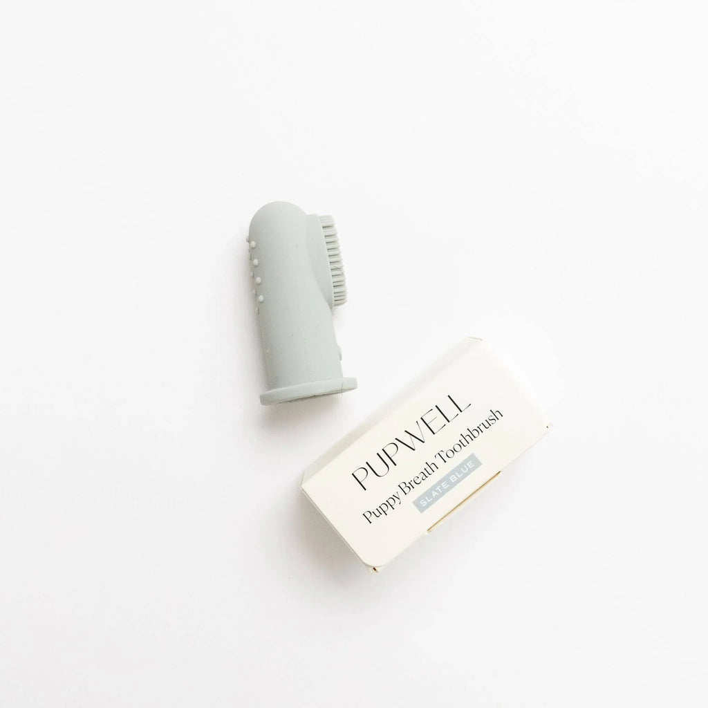 Brosse à dents gris pour chien