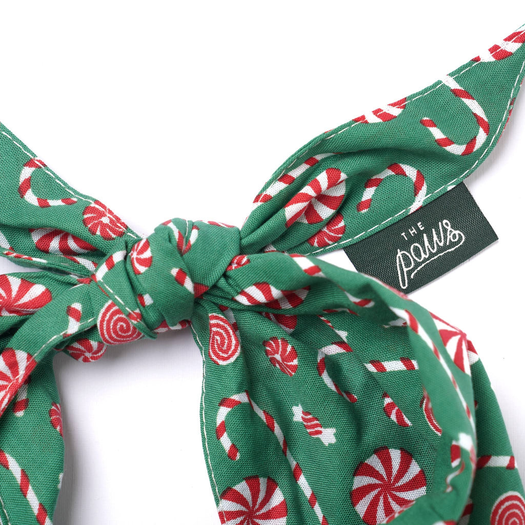 Bandana pour chien - Sucre d'orge