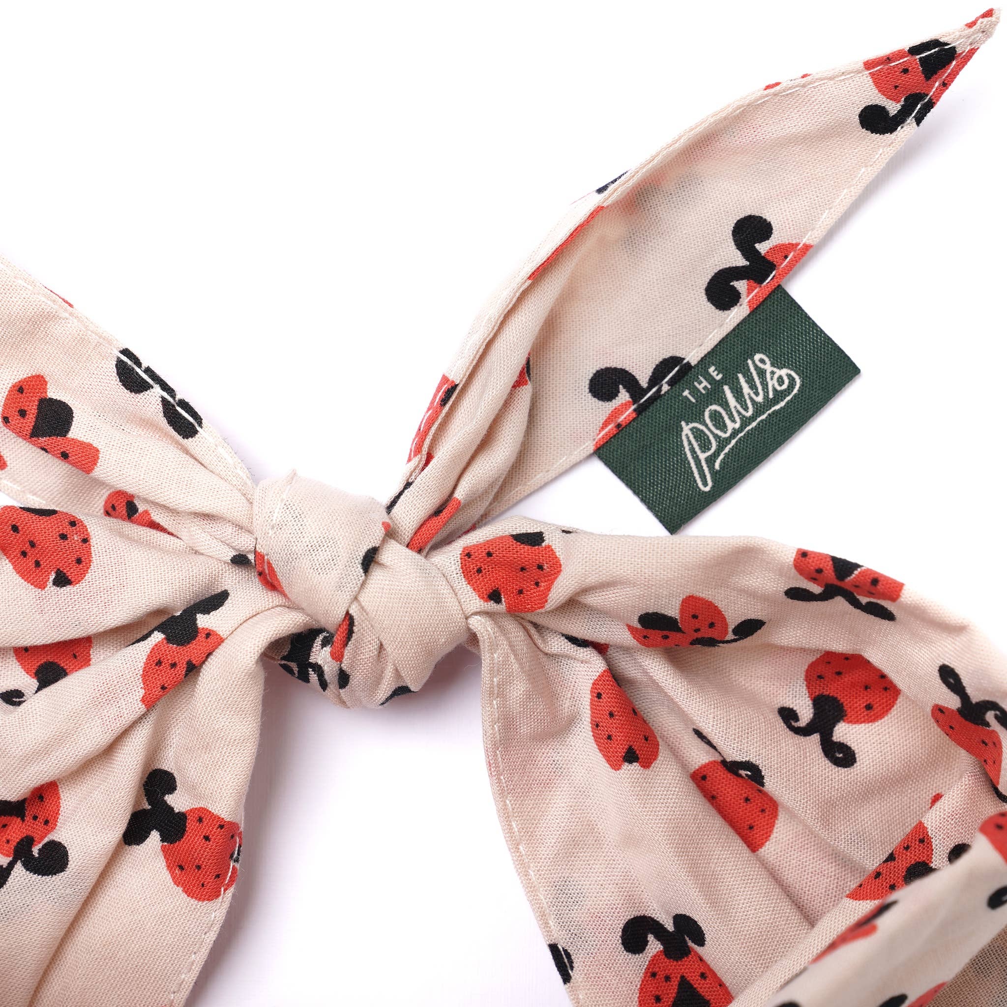 Bandana pour chien - Coccinelle
