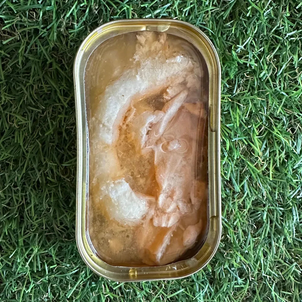 Conserve de Saumon au naturel