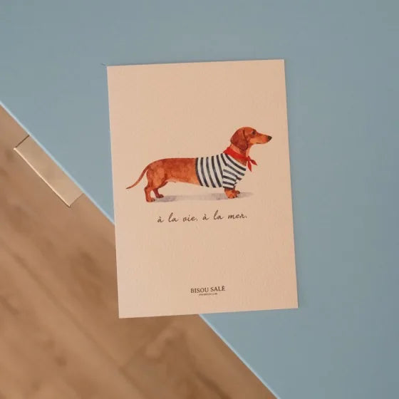 Carte postale Teckel