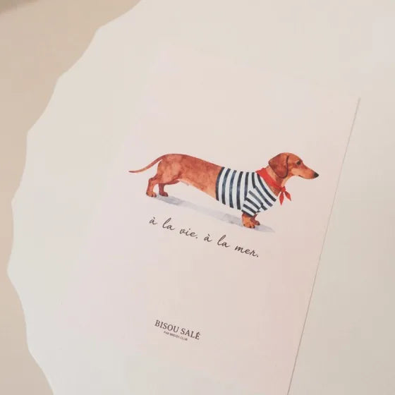 Carte postale Teckel