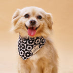 Bandana pour chien - Damier fleuri noir & blanc