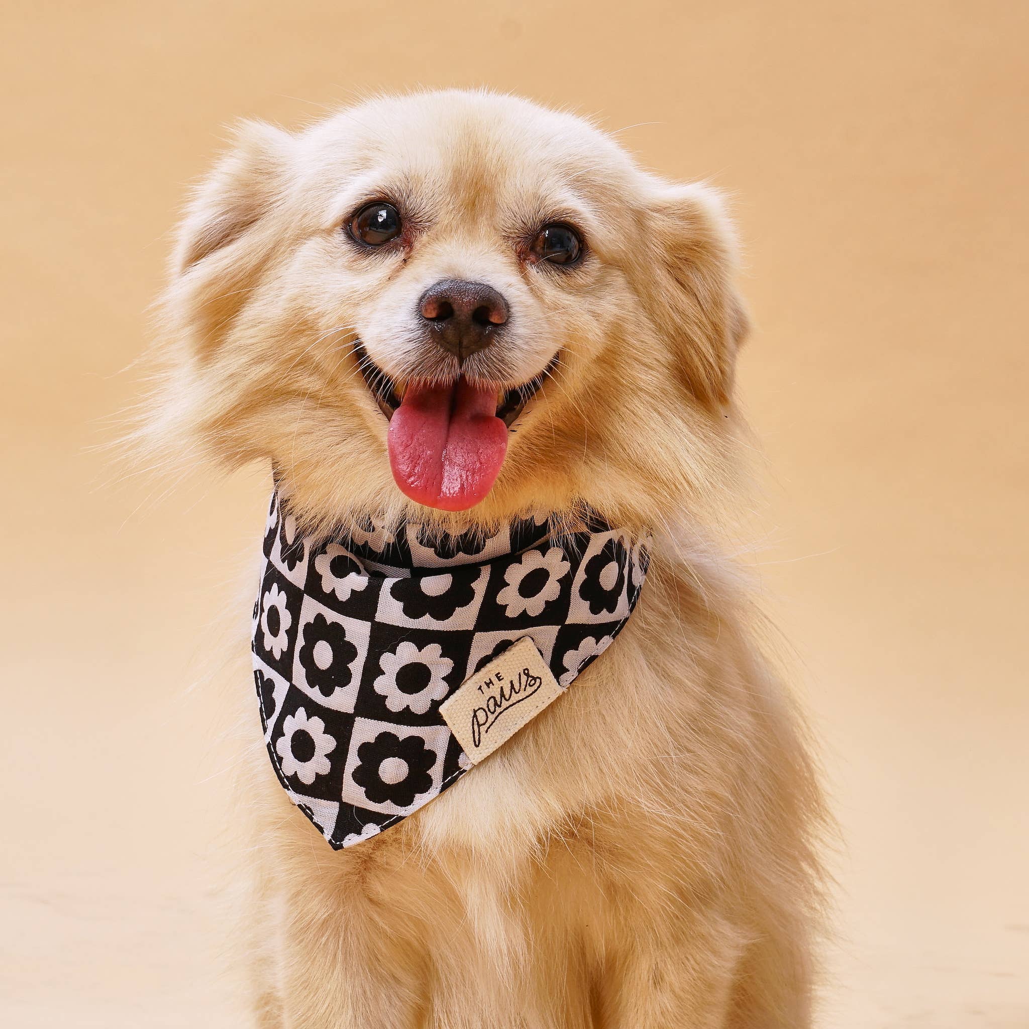 Bandana pour chien - Damier fleuri noir & blanc