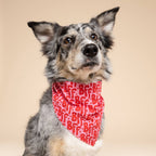Bandana pour chien - BFF rouge et rose