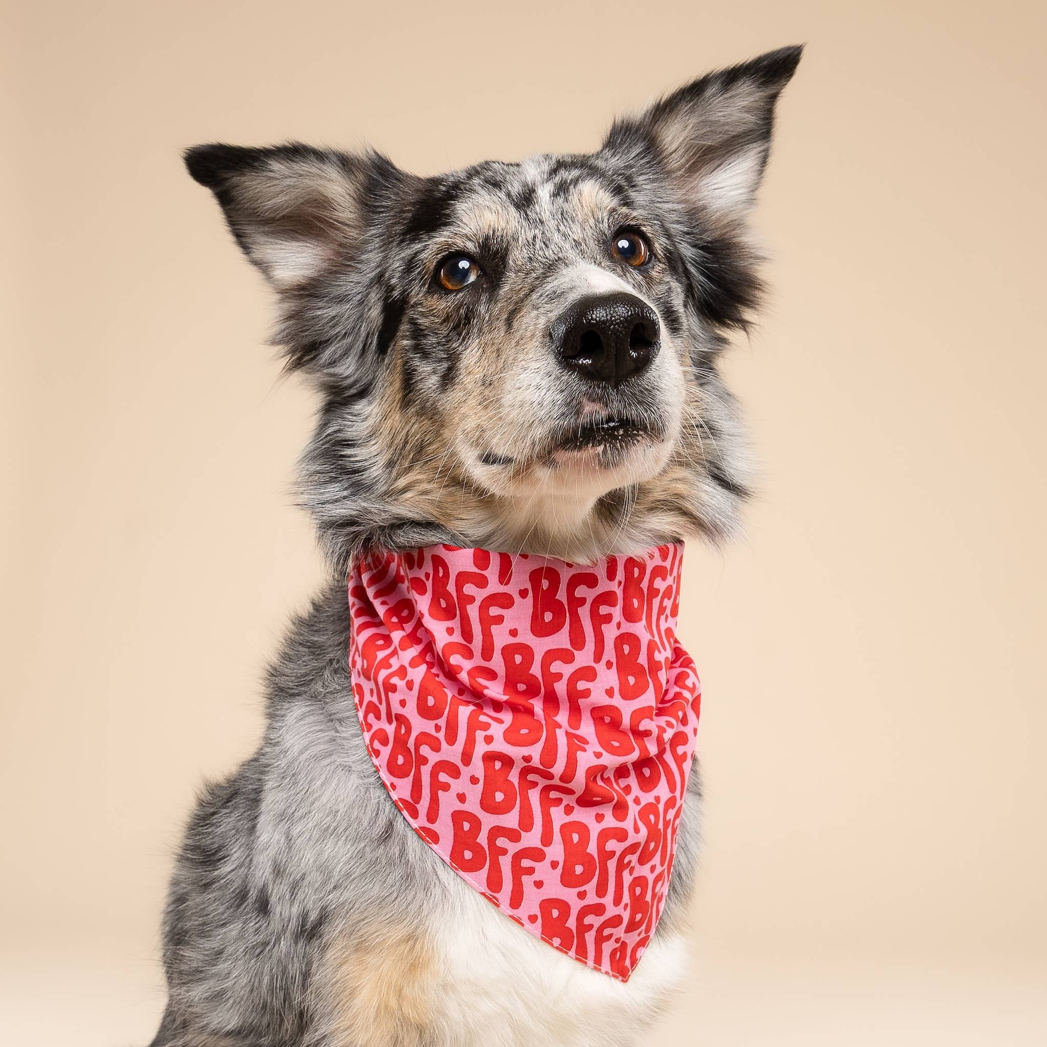 Bandana pour chien - BFF rouge et rose