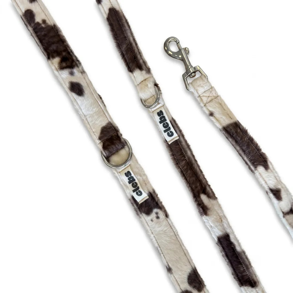 Laisse Clebs Motif Vache