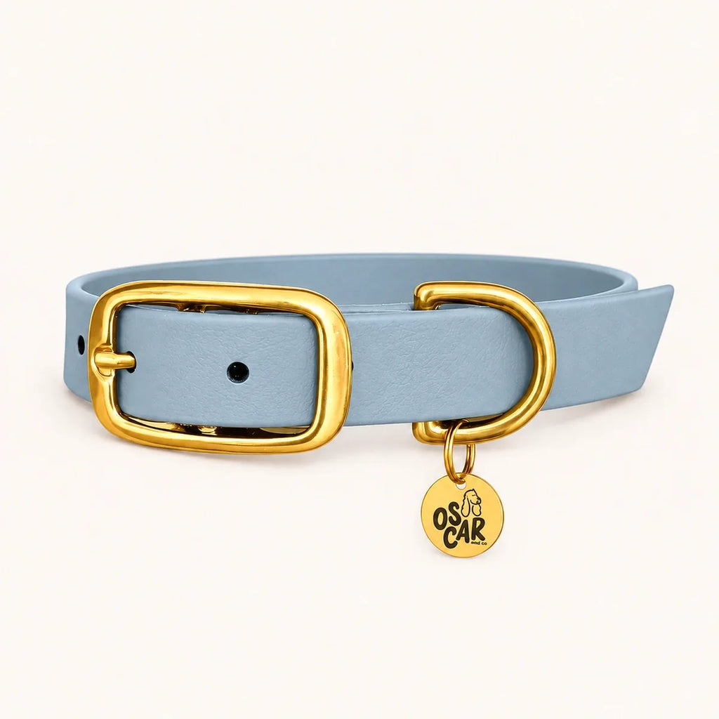 Collier bleu ciel en Biothane et laiton