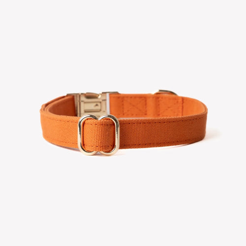 Collier coton