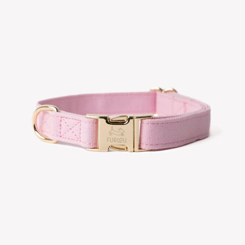 Collier coton