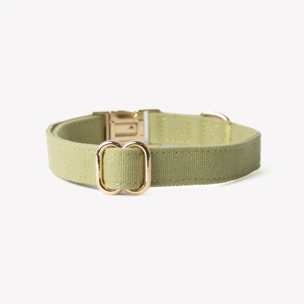 Collier coton