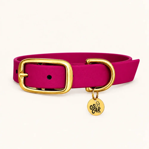 Collier fuchsia en Biothane et laiton