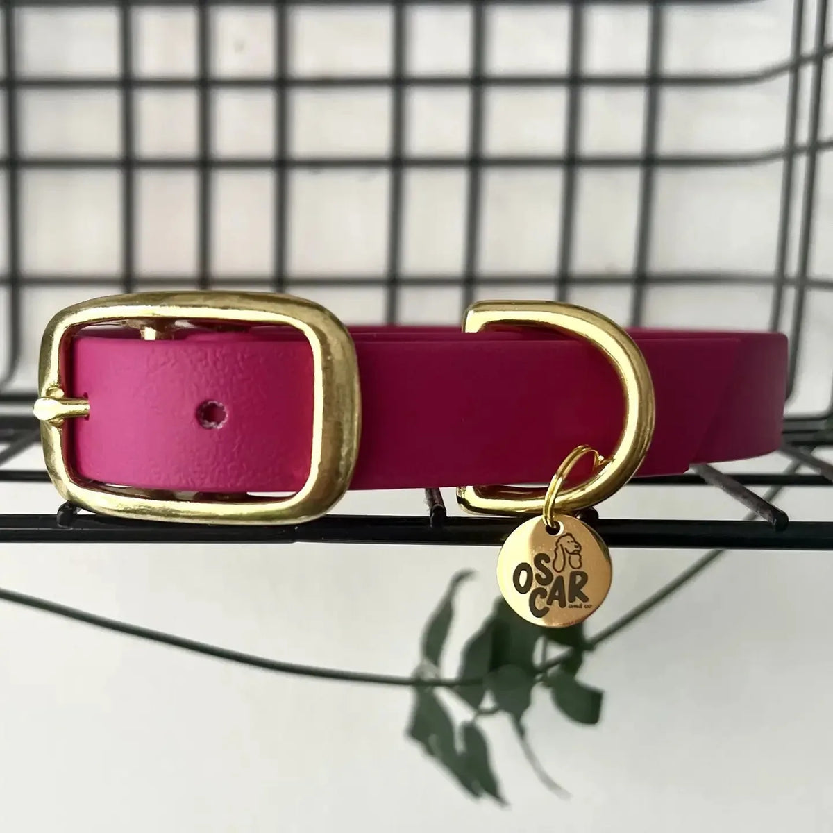 Collier fuchsia en Biothane et laiton