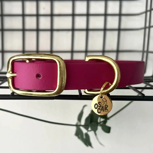 Collier fuchsia en Biothane et laiton