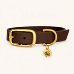Collier marron en Biothane et laiton