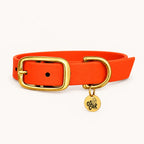 Collier orange en Biothane et laiton
