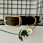 Collier en Biothane et laiton